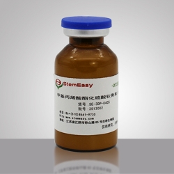 Chondroitin Sulphate Methacrylate（CSMA）