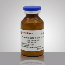 Gelatin Methacrylamide (GelMA)