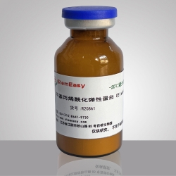 Elastin Methacrylamide (ElaMA)
