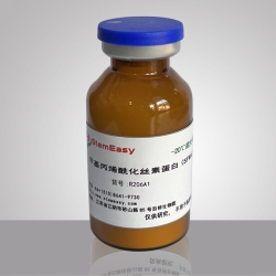 Glycidyl methacrylated silk fibroin（SFMA）