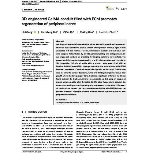 3D-engineered GelMA conduit